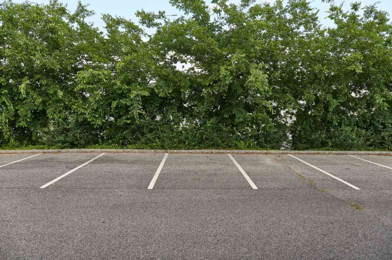 Paved Lot